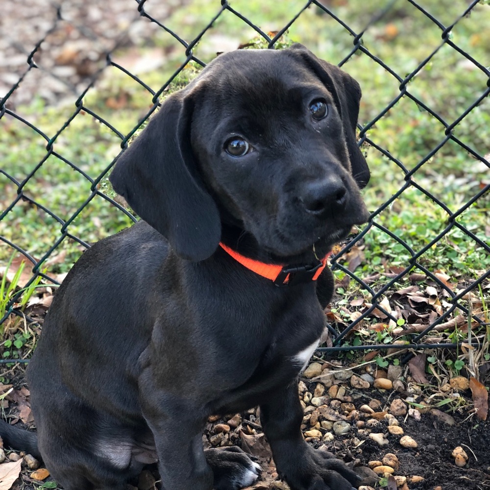 Meet your Posher, Lillian